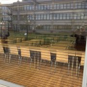 Vogelschutzfolie-fuer-Fenster-Protecfolien.de