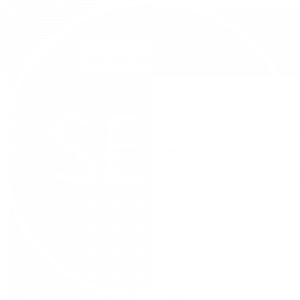 SEEN-Elements-Logo